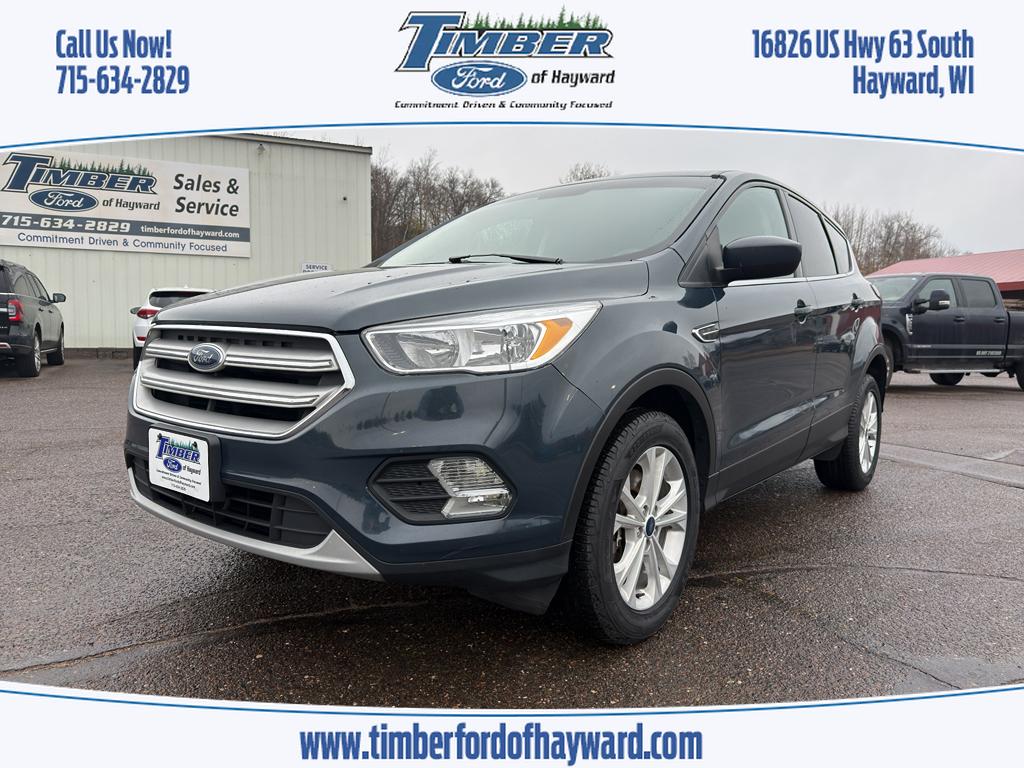 2019 FORD Escape SE, Baltic Sea Green Metallic for sale in Hayward, WI — photo 1 of 24