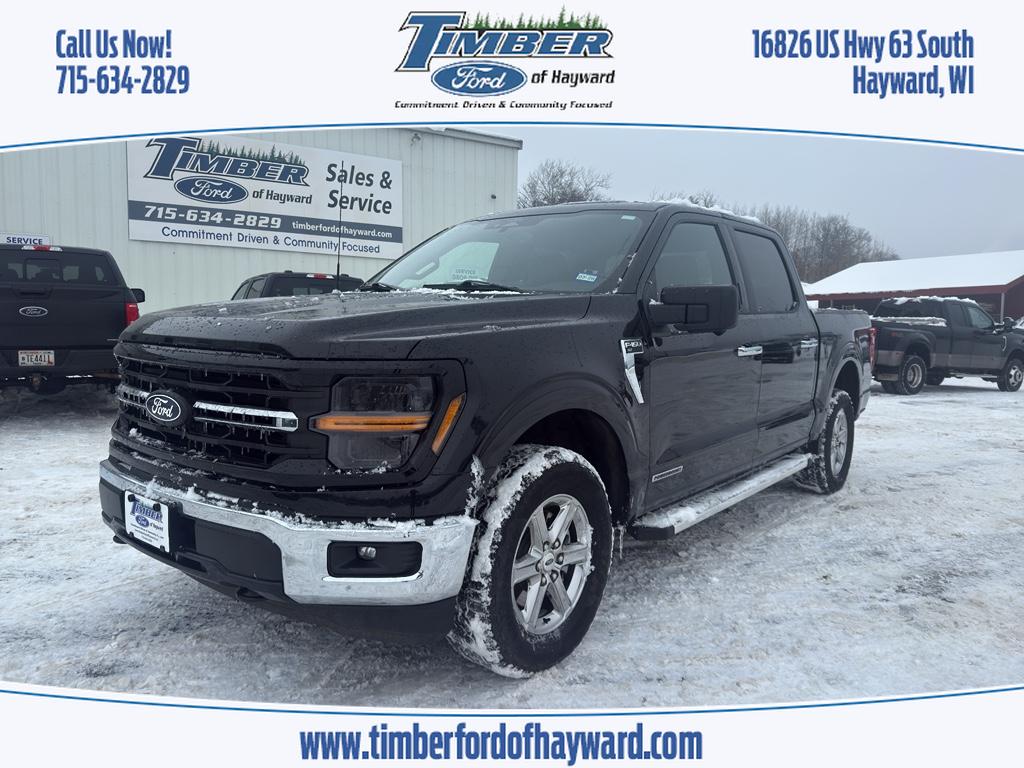 2024 FORD F-150 XLT, Agate Black Metallic for sale in Hayward, WI — photo 1 of 22